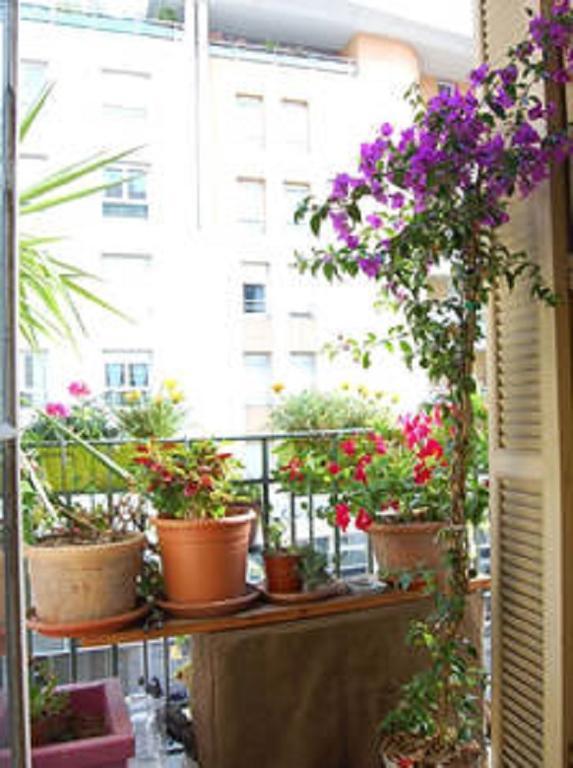Nissa La Bella Apartment Nisa Exterior foto